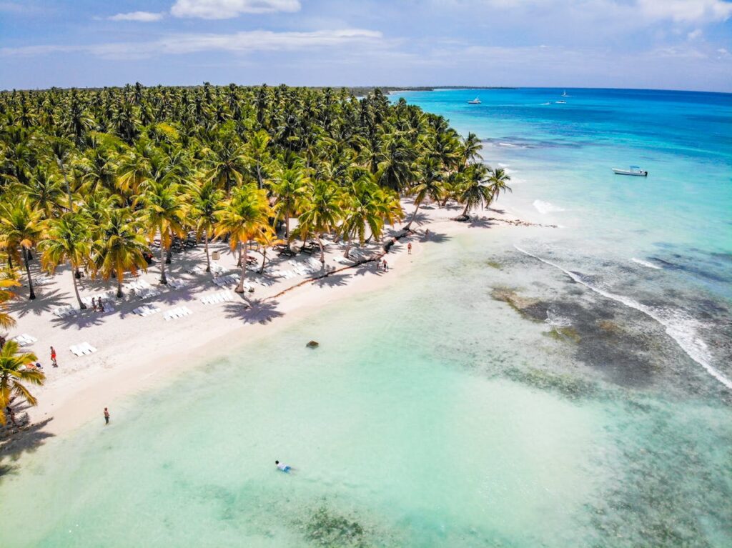 Stunning aerial view of a tropical beach with palm trees and turquoise waters, perfect for a relaxing vacation.